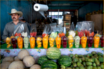 Fruit-Stand-at-Mercado-Hidalgo-Mexico
