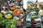 Myanmar-Farmers-Market-Carl-Kravats-Photography