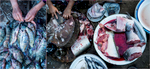 Myanmar: Fish market