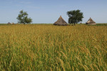 Wungak, Upper Nile State