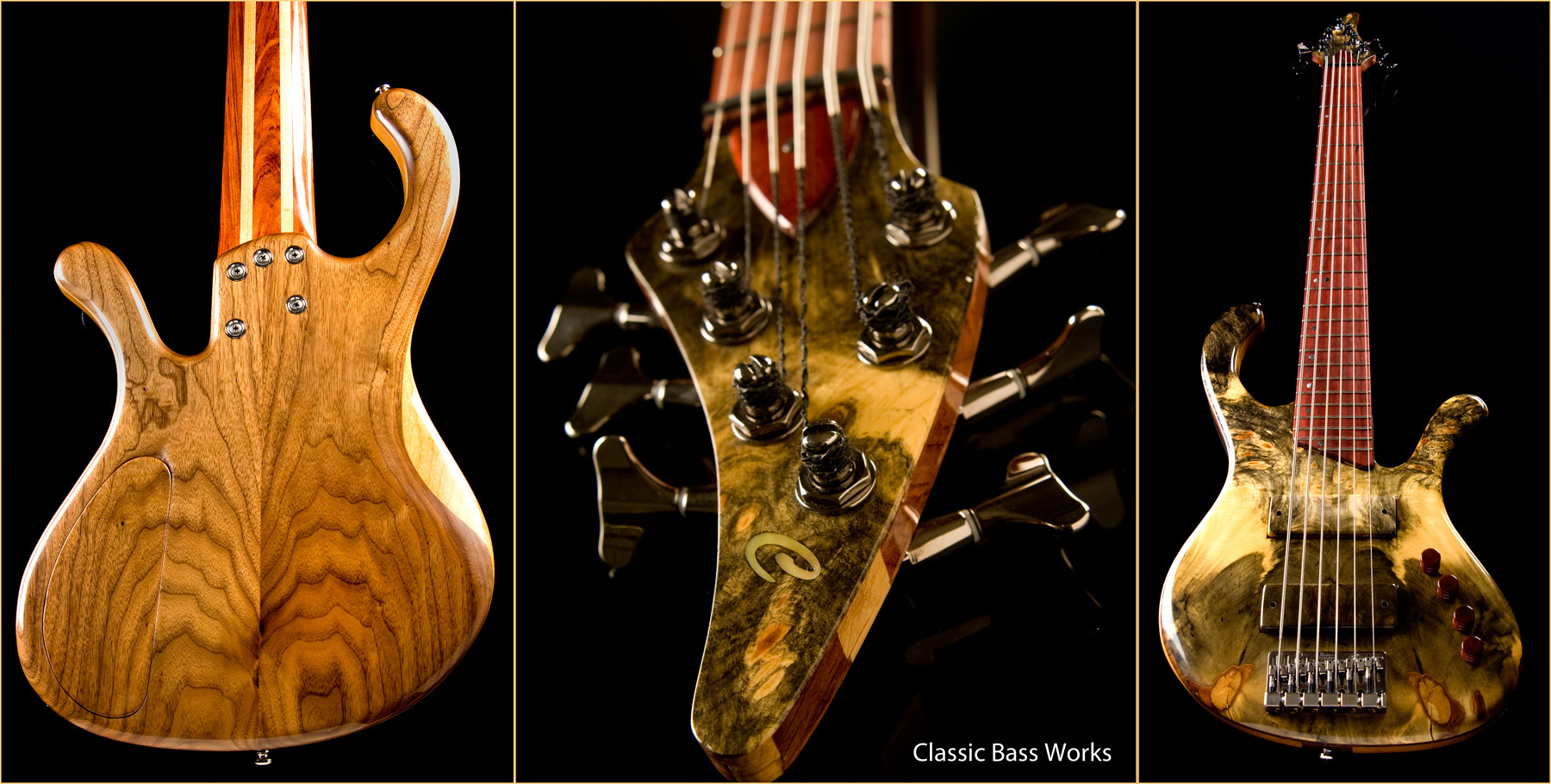 Classic Bass Works-Musicman Photography