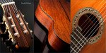 David Pelham Guitar 2-Musicman Photography