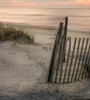 Dune_Fence-