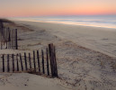 Dune_Fences-