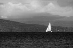 Black and White Sailboat