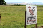 Welcome to The Bird Ranch