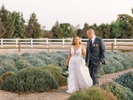 October-2022_Eakin_Wedding_Pageo-Lavendar-Farms_Turlock_CA_msquaredphotography_2092262117-116