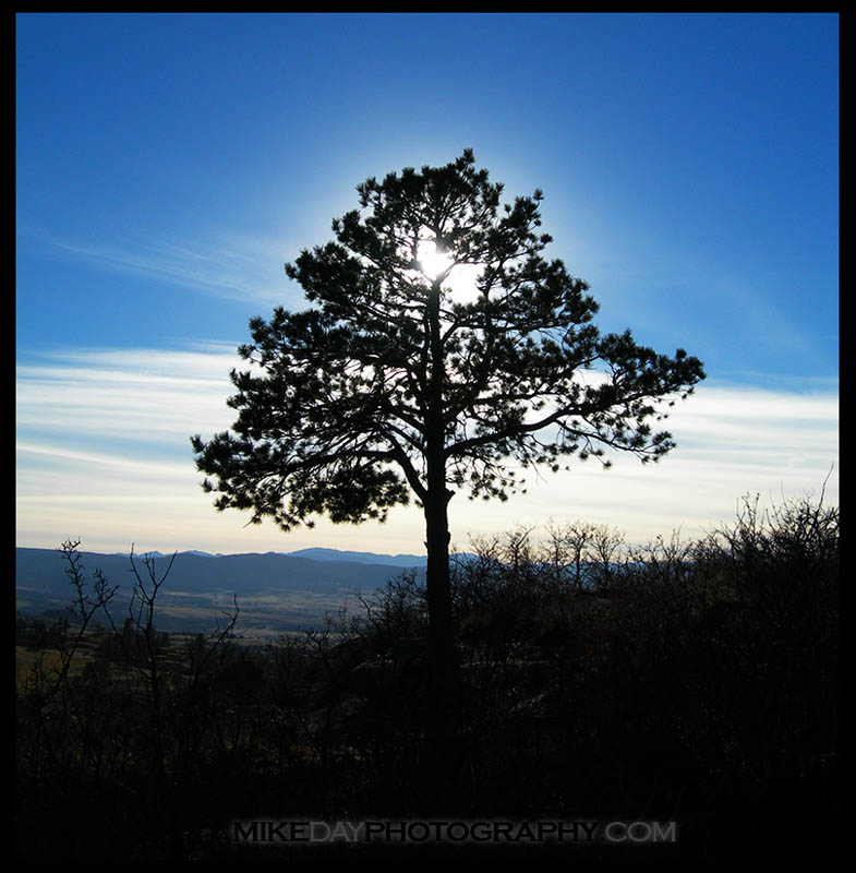 Cottonwood, Colorado