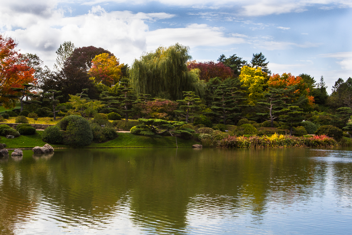Autumn Trees on Lake
