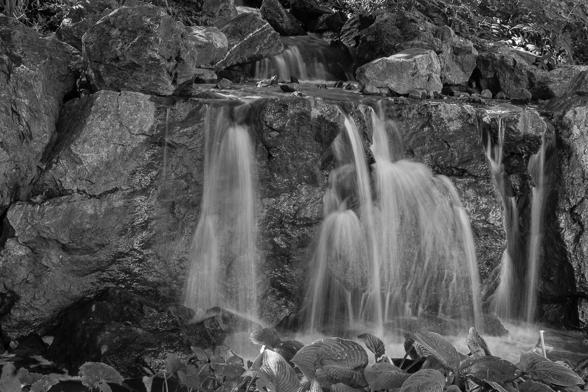 Waterfall on Rocks Botanical Garden