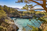 Point Lobos Loop