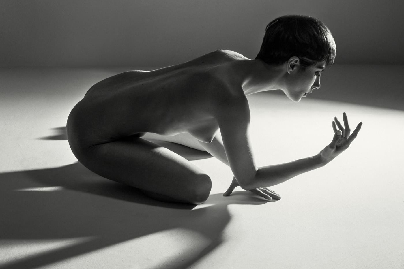 fine art black and white studio female nude