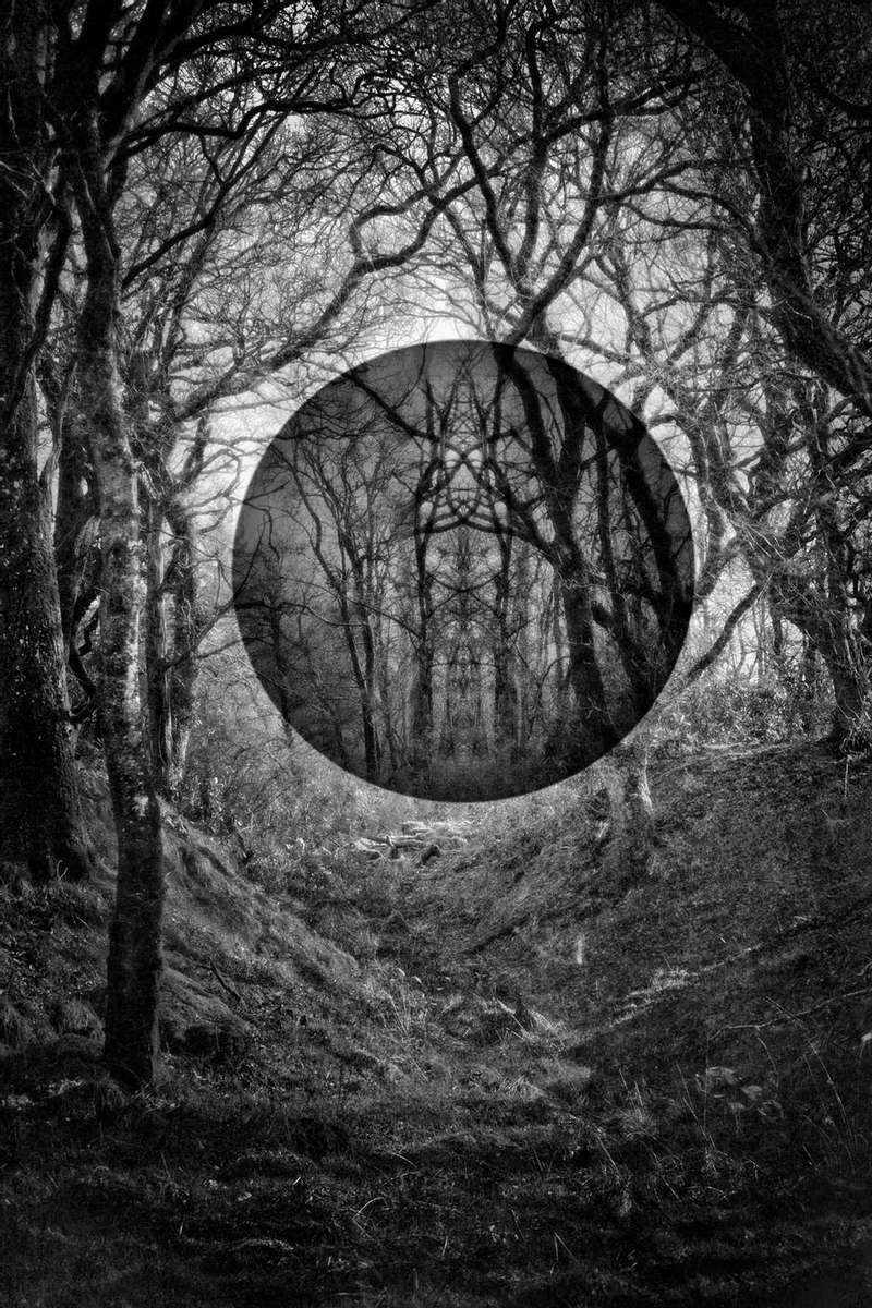 a dark shere suspended in a winter forest. zen black circle in a wood