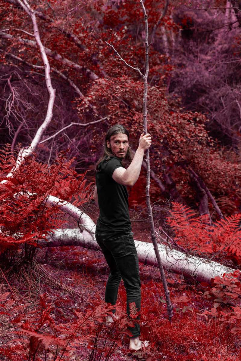 a man walking in a red forest