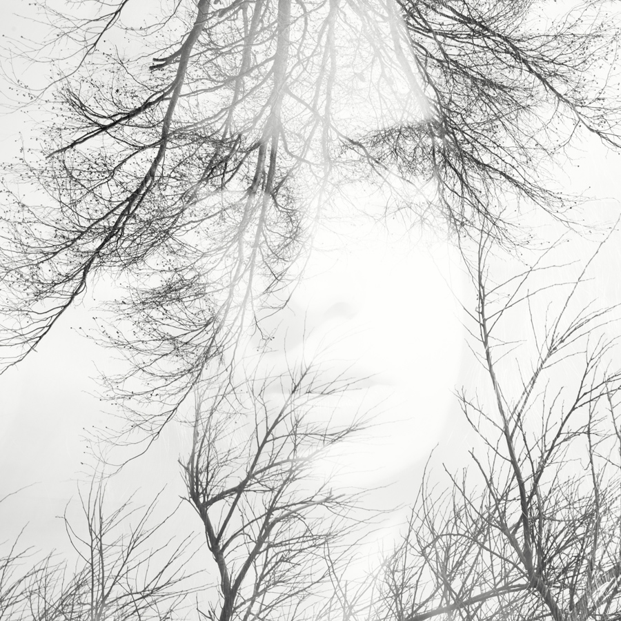 double exposure  portrait of a womans face in the trees