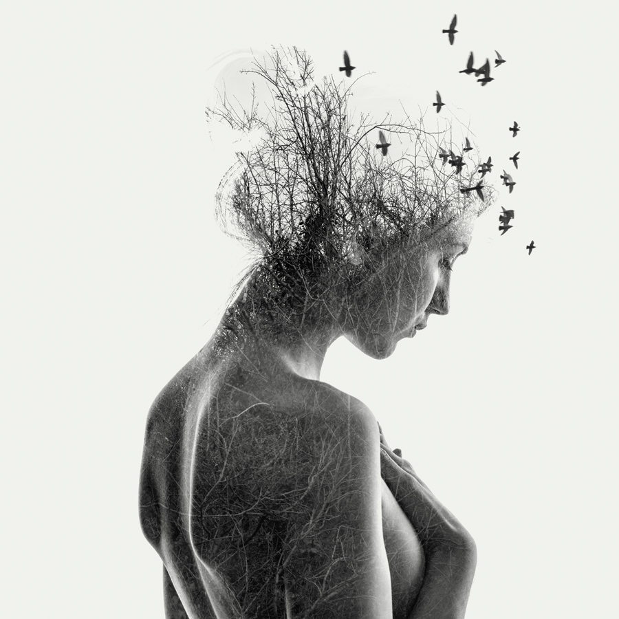 black and white double exposure  portrait of a nude girl with birds and branches 