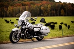 A California model Moto Guzzi motorcycle parked in front of a cow pasture in southern Vermont.