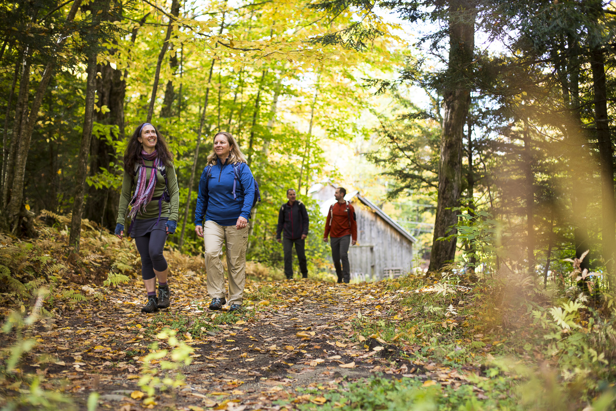 Country Walkers guided tour through a wooded trail in Waterbury Vermont.