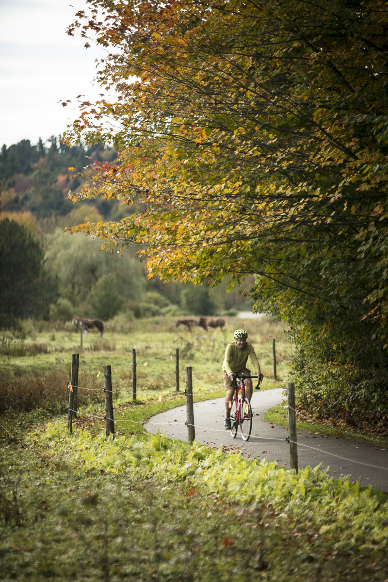 Vermont Bicycling and Walking Vacations bike tour in Stowe, Vermont during fall foliage season. by JAM Creative