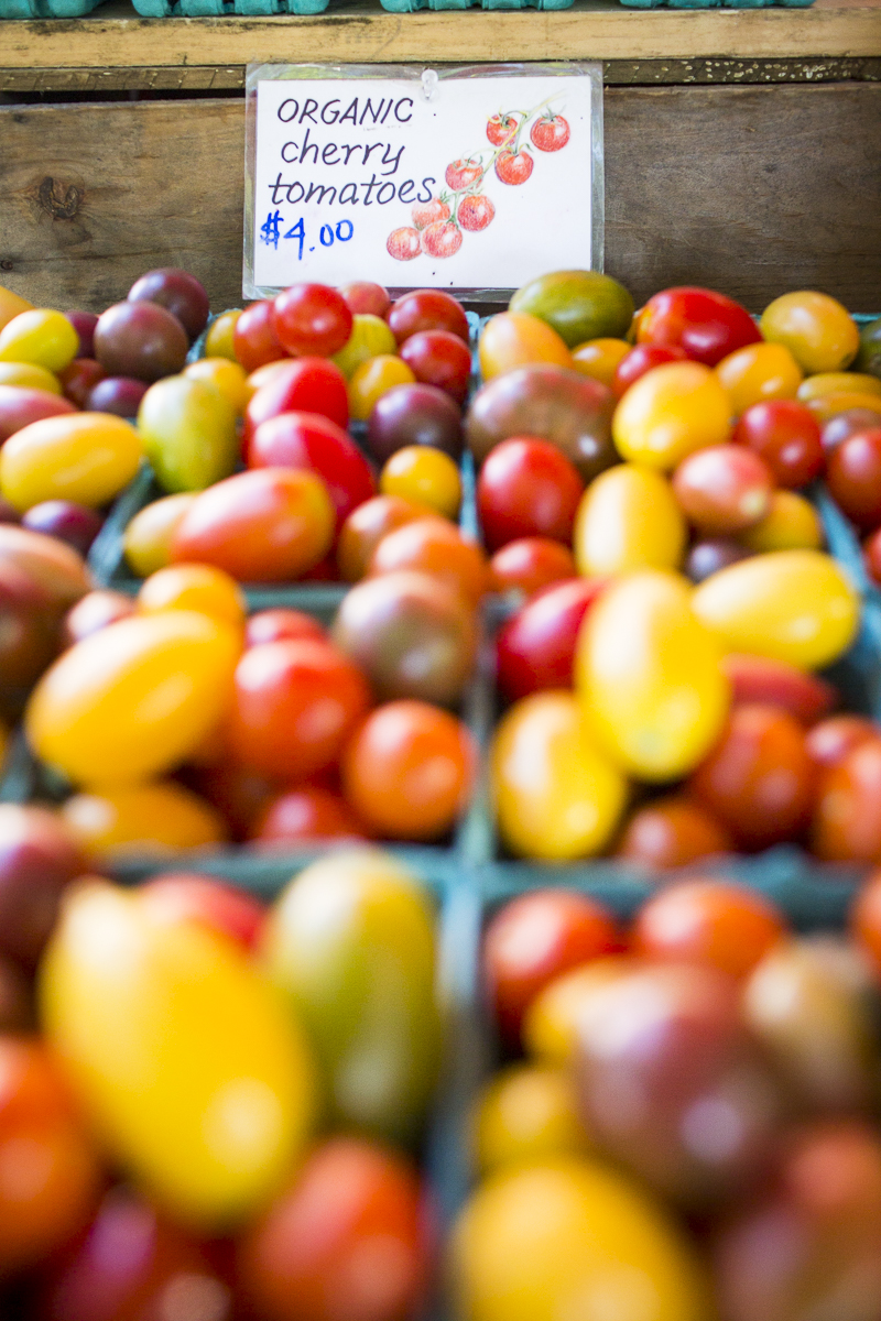 Organic cherry tomatoes of every hue are on display at the Burlington Farmers Market in City Hall Park on Saturday, September 29, 2018. by JAM Creative for Yankee Magazine