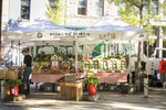 Fresh, local vegetables on display at the Diggers' Mirth Collective Farm booth at Burlington Farmers Market in City Hall Park on Saturday, September 29, 2018. by JAM Creative for Yankee Magazine