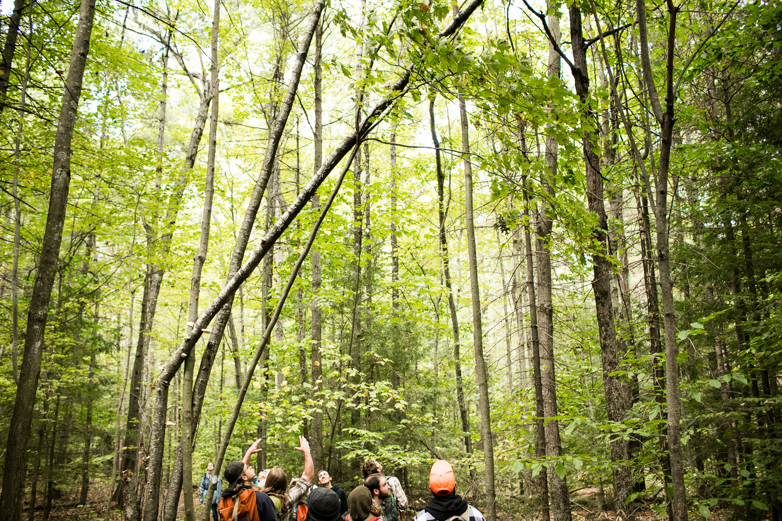 Community College of Vermont students explore the woods during a class in Winooski, Vermont. by photographers at Reciprocity Studio for the Vermont Student Assistance Corporation (VSAC)