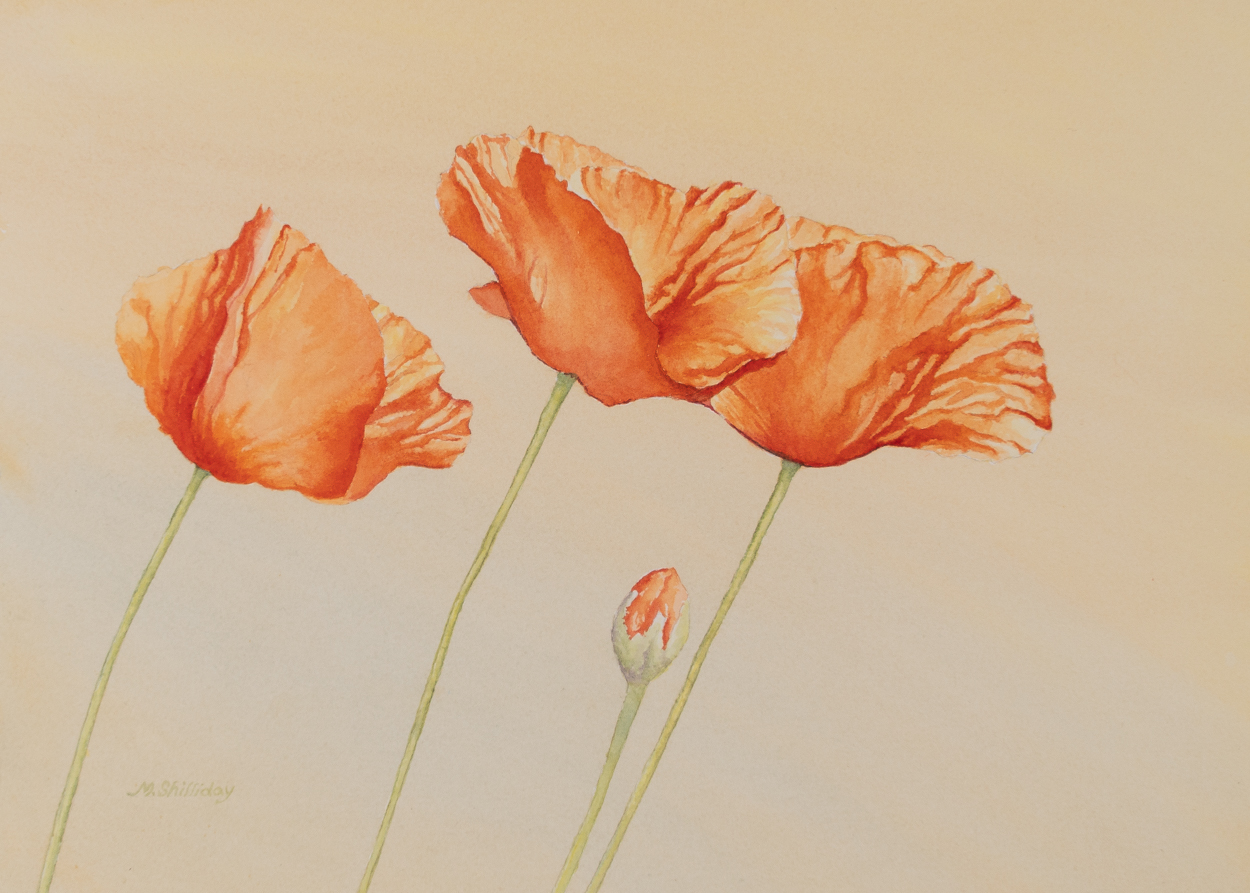 three-poppies