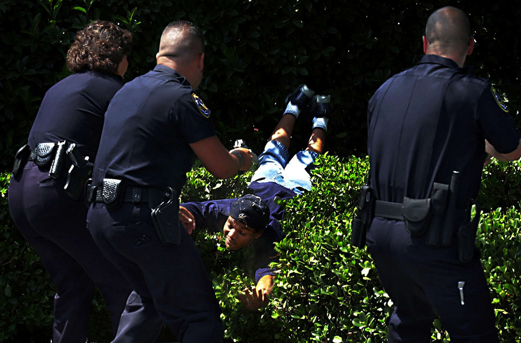 Riverside police officer Debora Foy, left, pulls a burglary suspect over a row of shrubs while taking him into custody on Latham Street in Riverside, Calif. Fellow officers keep theirguns drawn on the suspect. (The Press-Enterprise/ Mark Zaleski)