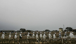 Weeks after the tsunami, police officers continue to search for the missing in Sendai, Japan. (The Press-Enterprise/ Mark Zaleski)