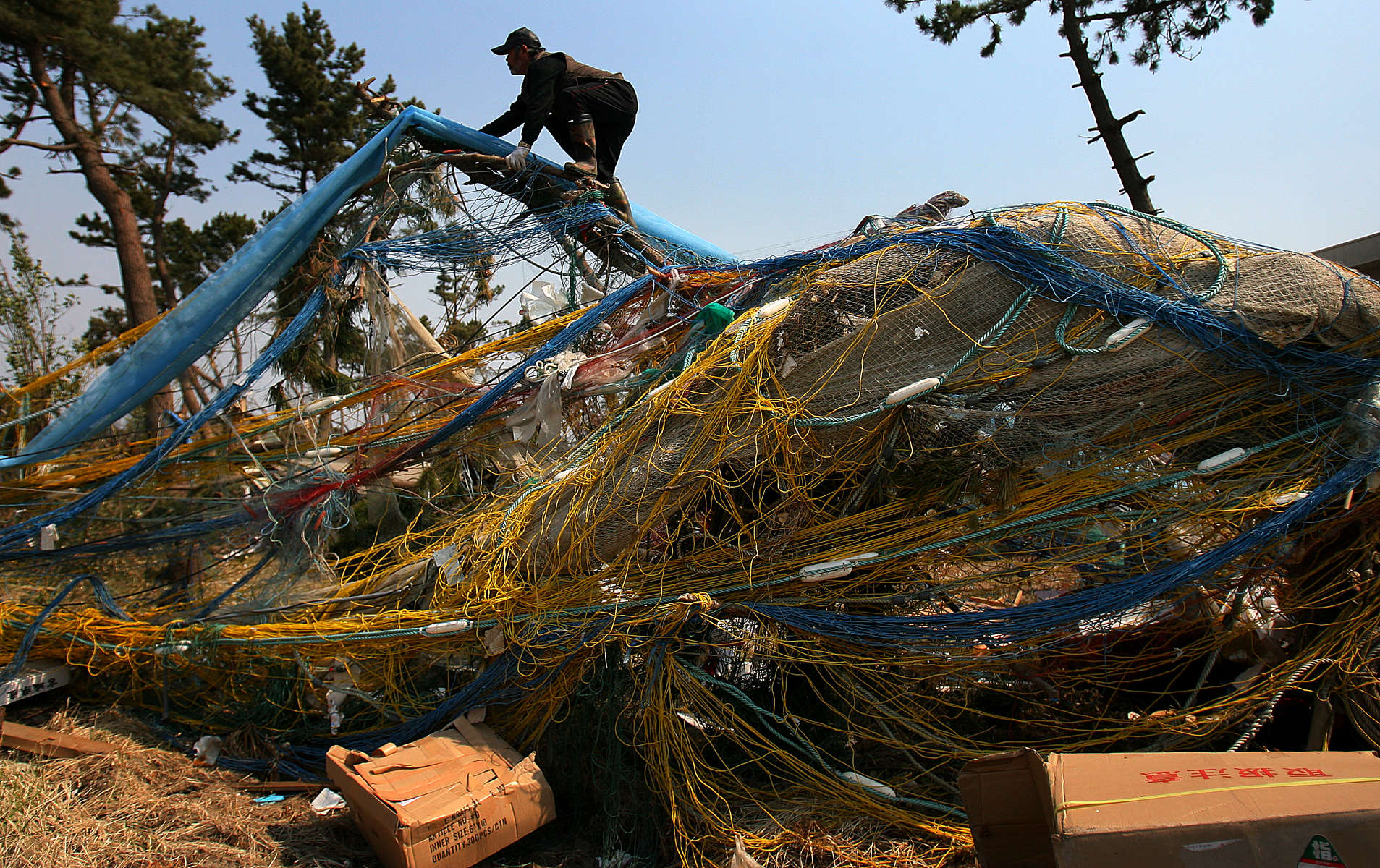 A fisherman tries to salvage rope, buoys and fishing nets tangled on broken trees. The tsunami destroyed several of his fishing boats and a storage warehouse conatining fishing equipment in Sendai, Japan.(The Press-Enterprise/ Mark ZaleskI)