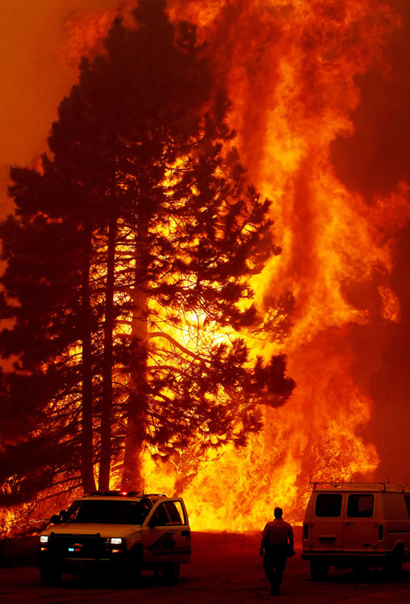 San Bernardino County Sheriff John Laurent watchesas 100-foot pine trees burn in the Grass Valley Firealong Highway 330 near Running Springs, Calif. (The Press-Enterprise/ Mark Zaleski)