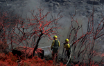 Firefighters extinguish a small spot fire after fire retardant was dropped along Highway 243 near Poppet Flat Road near Twin Pines, Calif. More than 200 acres were burned. (The Press-Enterprise/ Mark Zaleski) 
