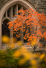 St. Albans campus life on October 26, 2015. Photo by Paul Morse