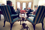 PRESIDENT BUSH MEETS WITH NICK CALIO, MITCH DANIELS, KARL ROVE, LEWIS LIBBY, DAN BARTLETT, JOSH BOLTEN AND ANDY CARD. THE PRESIDENT PETS SPOT DURING THE MEETING. ARI FLEISCHER TALKS WITH CALIO AND DANIELS IN THE OUTER OVAL OFFICE PRIOR TO THE MEETING. CALIO TALKS ALONE WITH CARD.Location: OVAL OFFICE