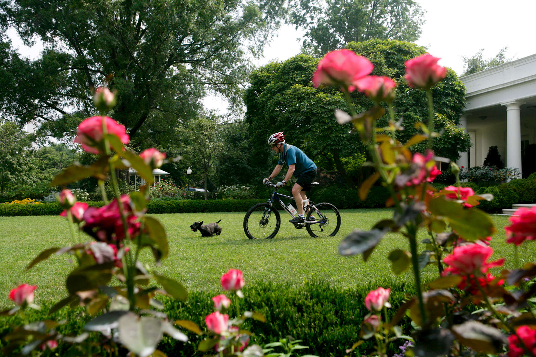 President Bush: Bike Riding on the South Lawn. Rose Garden.