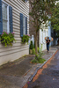 Strolling the watercolor streets of Charleston