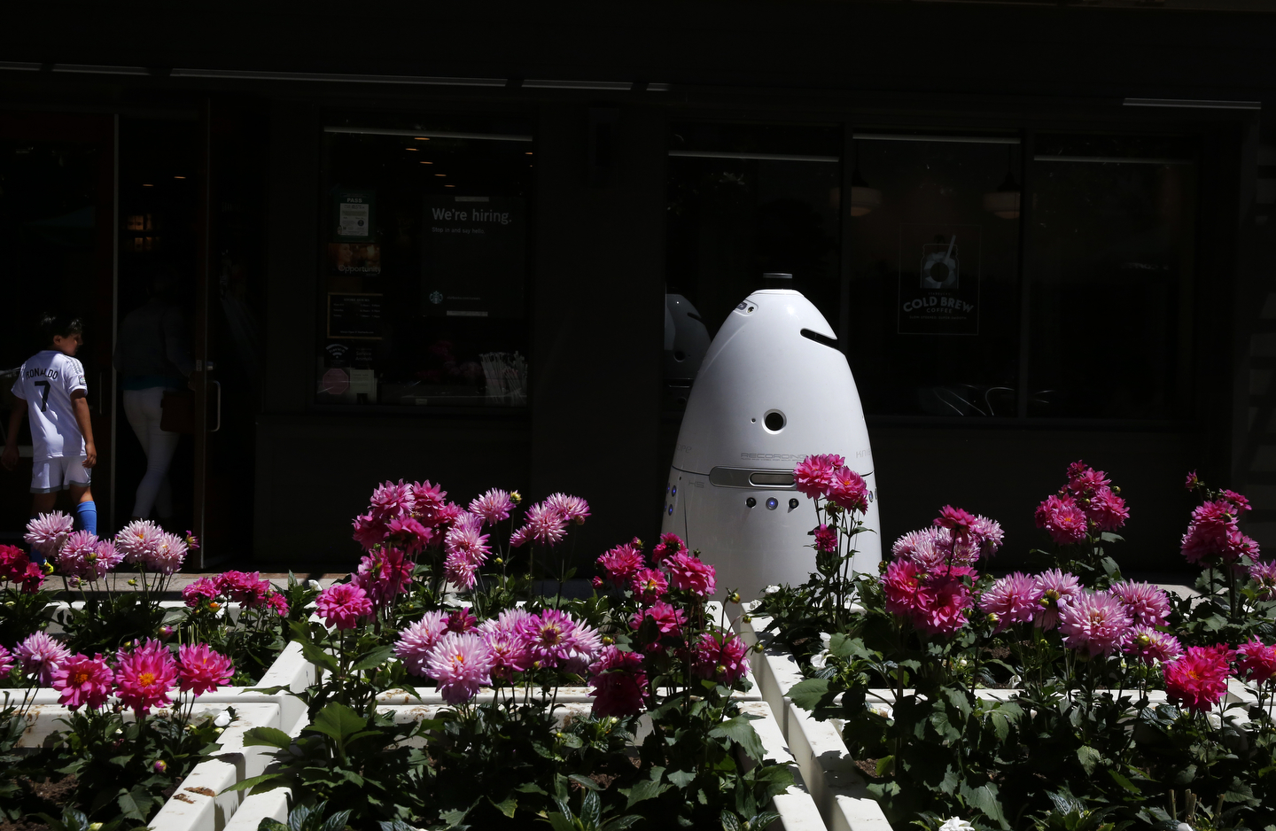 A Knightscope K5 autonomous security robot roams around the Stanford Shopping Center June 15, 2016 in Palo Alto, Calif.