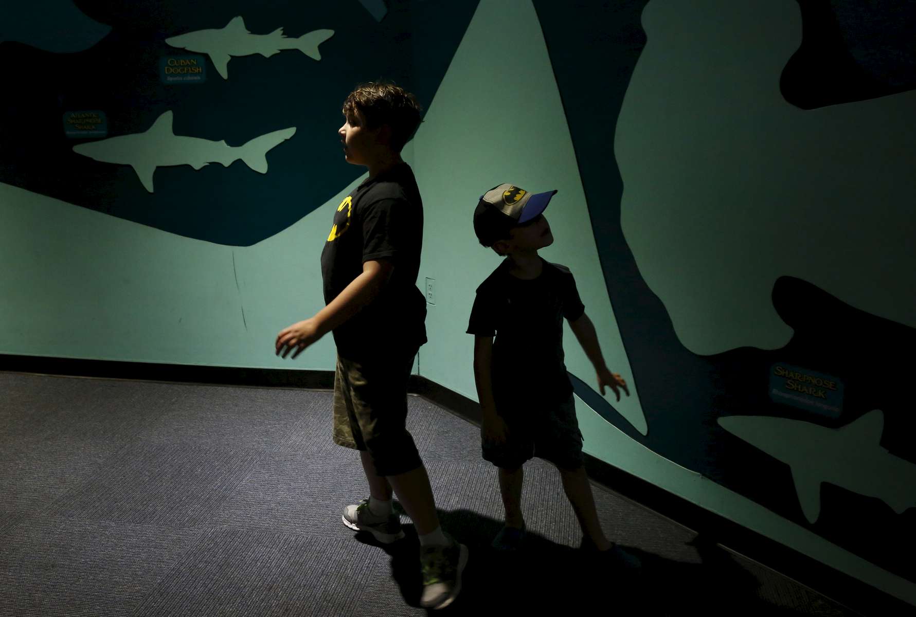 James Kaplan, 8, and his sibling Charley Kaplan, 4, wander through an aquarium during a family outing to Six Flags amusement park Aug. 20, 2016 in Vallejo, Calif.