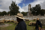 Eusebio Sanchez, left, helps his mother Guadalupe Mejia Sanchez, 78, right, and his father herd their sheep home after taking them out to graze in Santa Monica, Hidalgo, Mexico. Eusebio spends much of his time with his parents, making up for years of lost time, helping them care for their animals and take care of their health. It's bitter-sweet being home, according to Eusebio. He is happy to see his family but also sad to be torn away from his daughters.