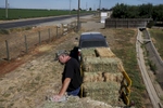 Baker pauses in the heat after loading an order of hay onto a customer's trailer at his home. Though he has senior water rights, Baker had his water turned off after the California State Resources Control Board ordered Banta-Carbona Irrigation District to stop pumping water. 