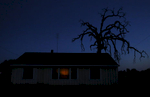 Evening falls over a gnarled tree and a small home April 13, 2015 near Tulare, Calif.