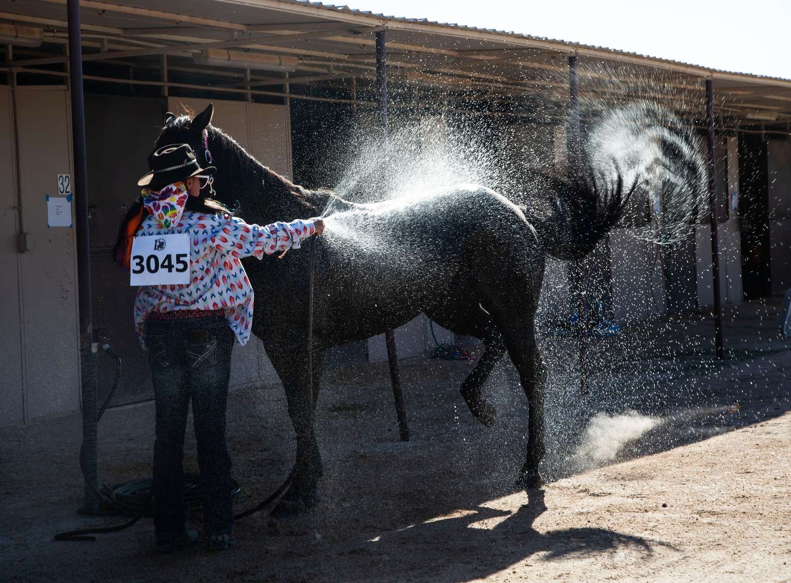 Brittany Connolly washes her horse at the end of the Bighorn rodeo, in Las Vegas on September 19, 2021.Bighorn rodeo is organized by the Nevada Gay Rodeo Association, an all-volunteer,  organization dedicated to preserving the western lifestyle and producing gay rodeos with a commitment to raise funds for charitable organizations. Over the years, NGRA has raised many thousands of dollars for local charities.