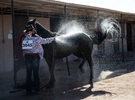 Brittany Connolly washes her horse at the end of the Bighorn rodeo, in Las Vegas on September 19, 2021.Bighorn rodeo is organized by the Nevada Gay Rodeo Association, an all-volunteer,  organization dedicated to preserving the western lifestyle and producing gay rodeos with a commitment to raise funds for charitable organizations. Over the years, NGRA has raised many thousands of dollars for local charities.