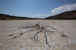 A view of Elizabeth Lake, that has been dried up for several years, as the region experiences extreme heat and drought conditions, in Elizabeth Lake, an unincorporated community in Los Angeles County, California, U.S., June 18, 2021.  