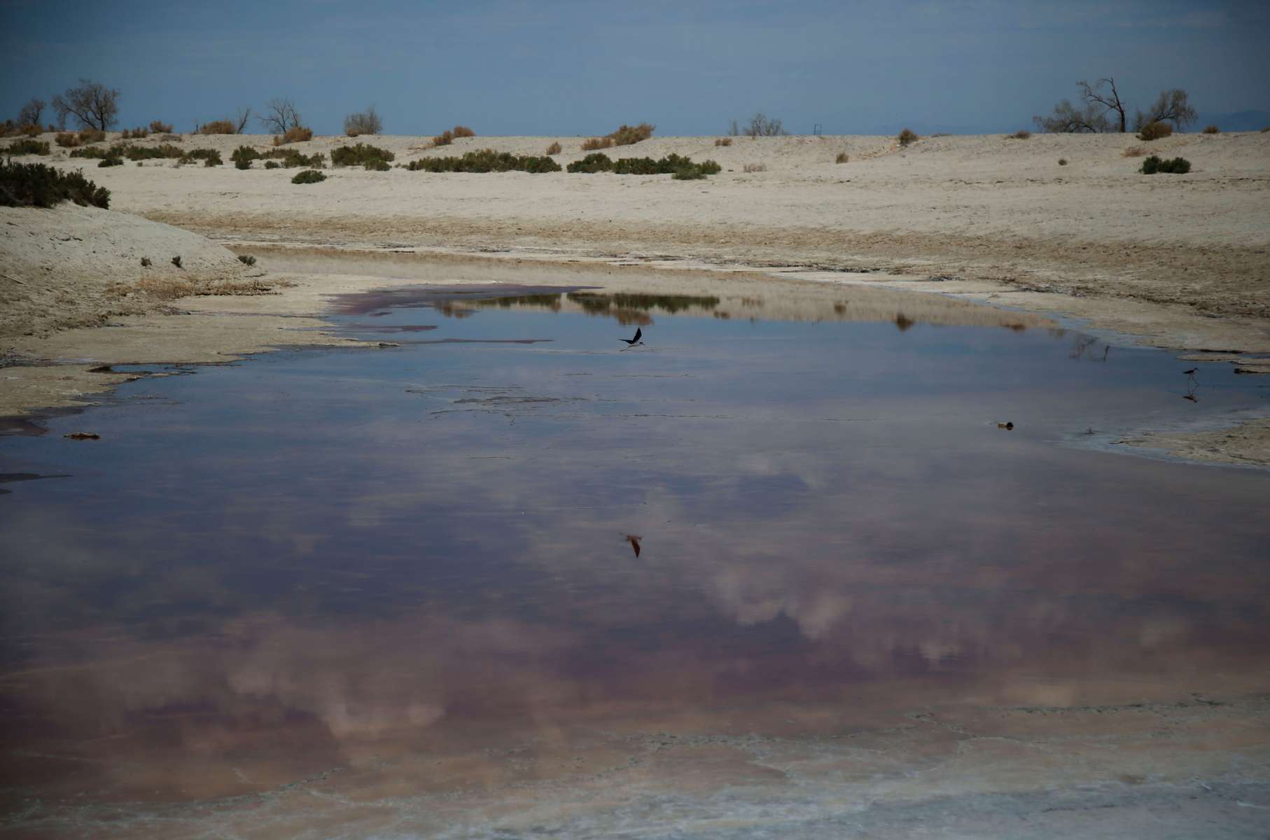 A bird flies over an almost evaporated canal, with toxic residues, near the Salton Sea as California faces its worst drought since 1977, in Salton City, California, U.S., July 4, 2021. 