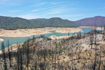 A drone view shows the burned trees from the 2020 Bear fire and the low water levels at Lake Oroville, which is the second largest reservoir in California and according to daily reports of the state's Department of Water Resources is near 35% capacity, near Oroville, California, U.S., June 16, 2021. Picture taken June 16, 2021.