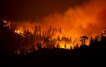 Trees burn as the Caldor fire rages on August 29, 2021, in the Eldorado National forest, California. The Caldor Fire has burned over 165,000 acres, destroyed over 660 structures and is currently 14 percent contained. 