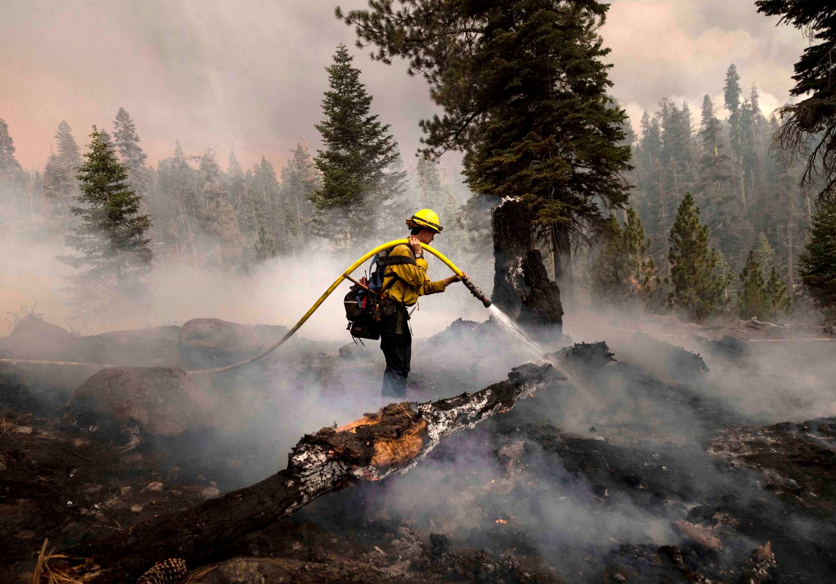 Firefighters work to control the Caldor fire on August 29, 2021, in the Eldorado National forest, California. The Caldor Fire has burned over 165,000 acres, destroyed over 660 structures and is currently 14 percent contained. 