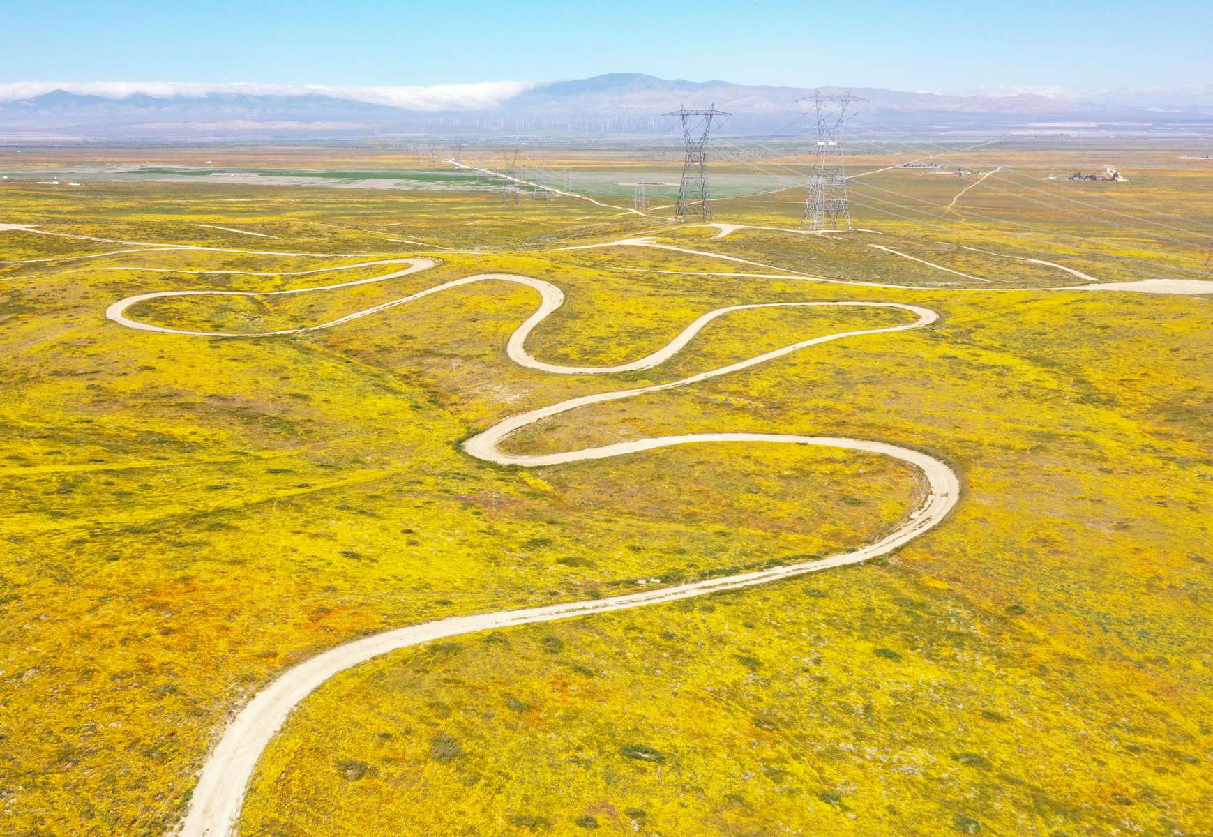 An aerial view of a field of poppies and other wildflowers near the Antelope Valley California Poppy Reserve in Lancaster, California, U.S., April 13, 2023. 