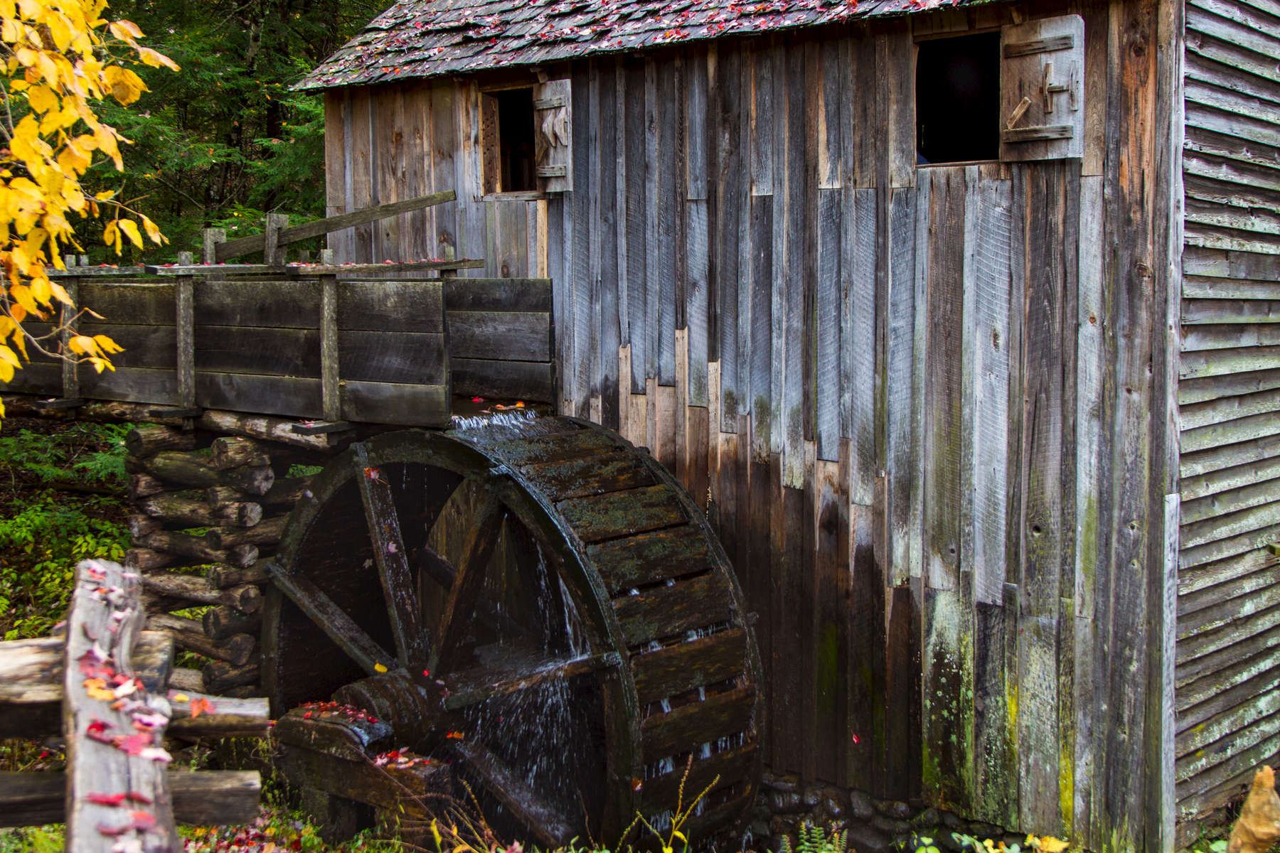 Backwoods Mill House